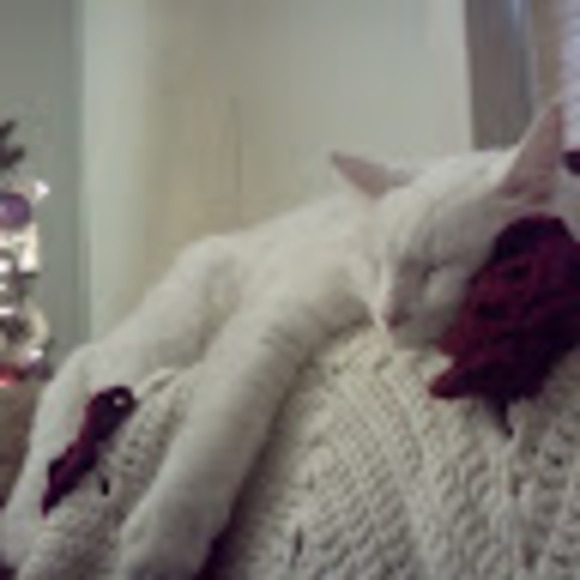 Meet your Posher, Leslie - Picture 1 of 1